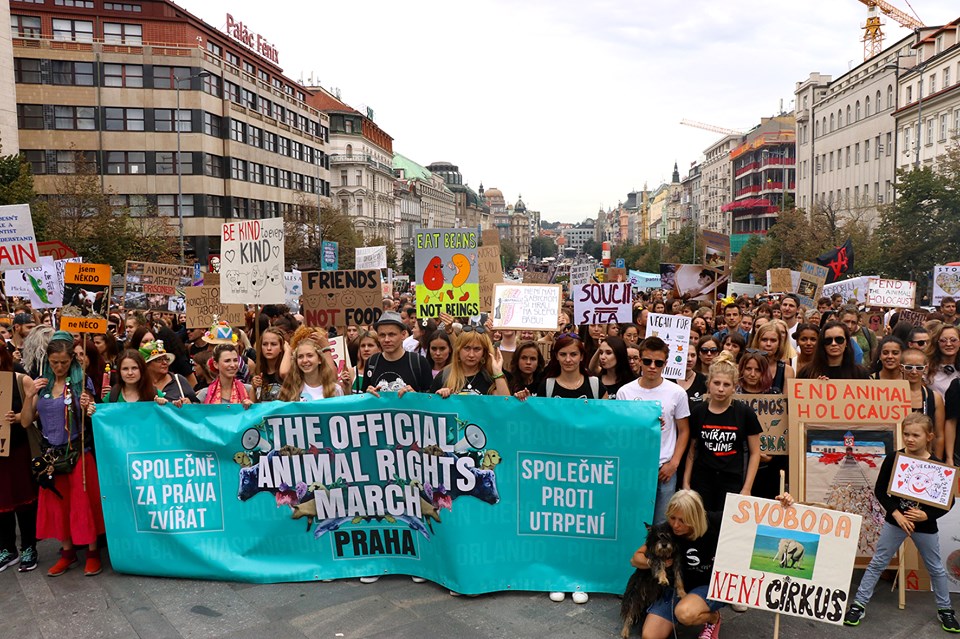 A Hivatalos Állatjogi Menet csehországi demonstrációja a prágai Vencel-téren 2019 augusztus 17-én. Kép forrása: Alina Bitner.