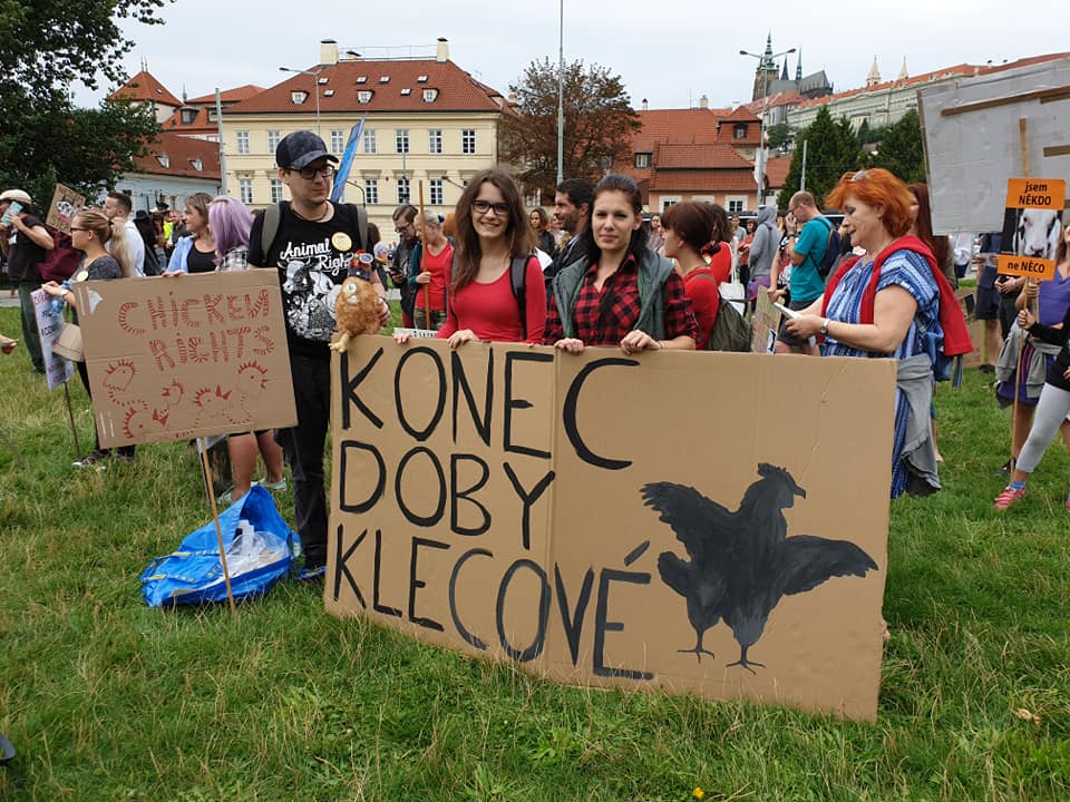 A Vezető Képen A Hivatalos Állatjogi Menet Globális állatvédelmi Mozgalom Prágai Demonstrációjának Gyülekező Helyszínén Készült A Klárov Téren. Kép Forrása: Alina Bitner.